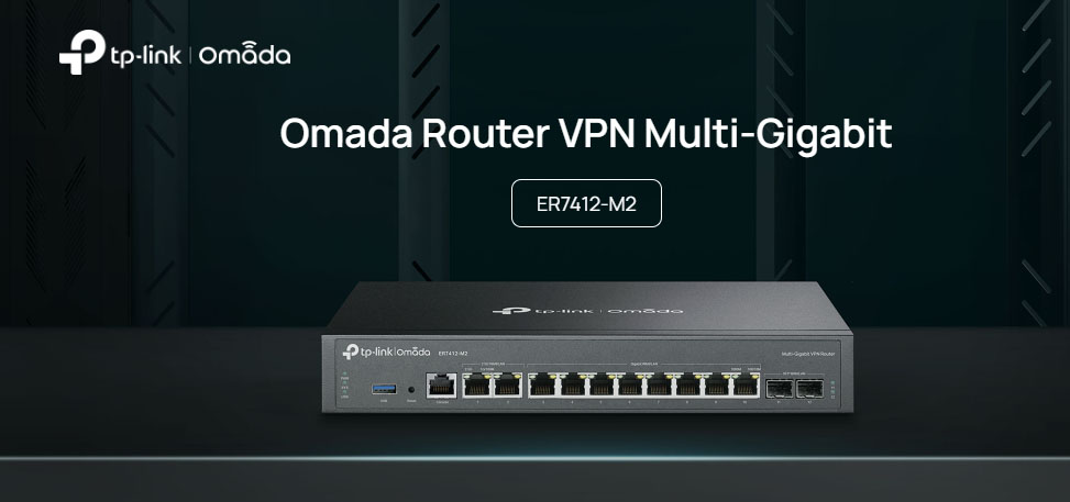 ER7412-M2 - TP-Link ER7412-M2 Multi-Gigabit VPN Router | Fast
